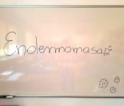 2025 » Endermomasaż w wykonaniu kosmetyczek